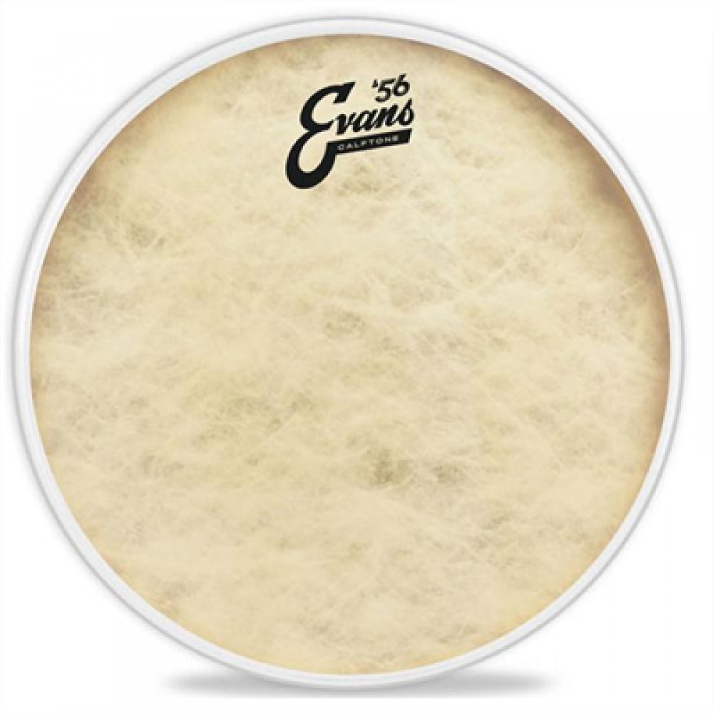EVANS TT18C7 Δέρμα Calftone Tom 18'' ( Batter ) EVANS TT18C7 Δέρμα Calftone Tom 18'' ( Batter )