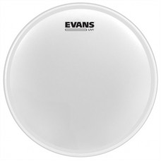 EVANS B13UV1 Δέρμα Ταμπούρου / Τομ Coated White 13΄΄