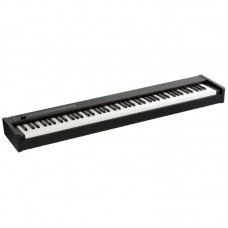 KORG D1