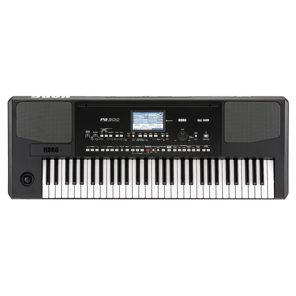 KORG PA300