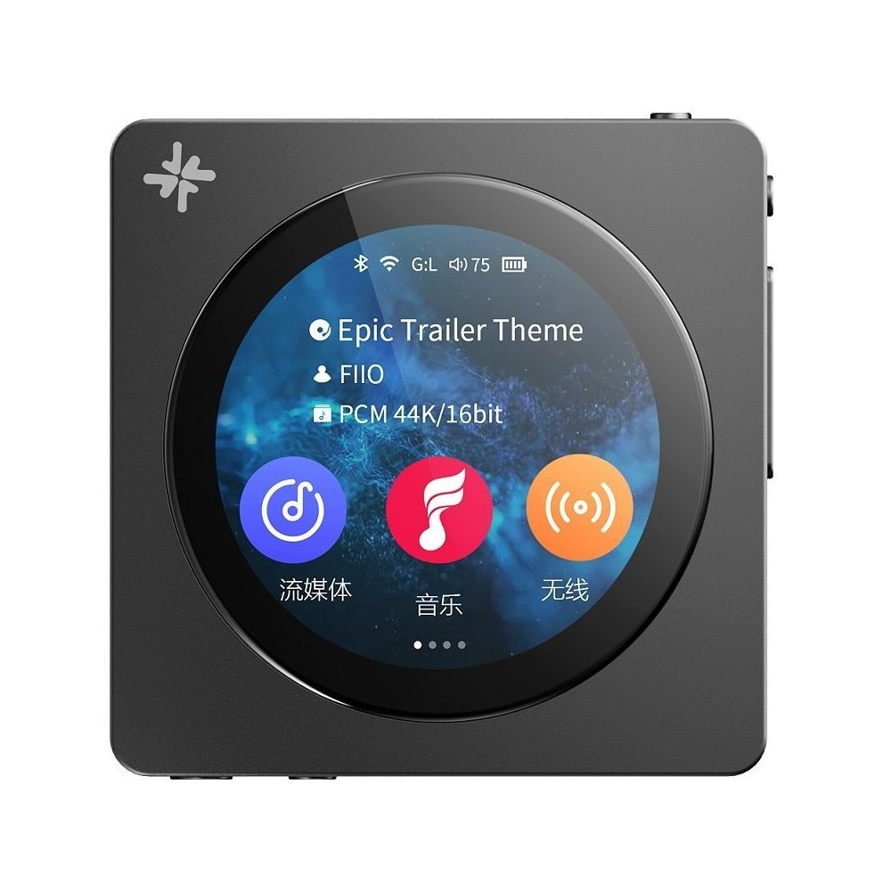 FiiO Snowsky DISC Portable Hi-Res Music Player with Bluetooth 5.4 LDAC, Wi-Fi, USB DAC & Coaxial Output, Black