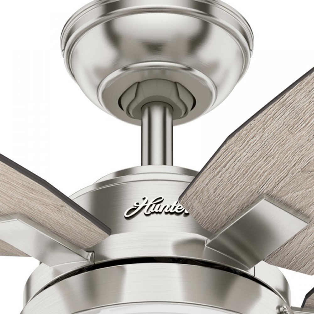 Hunter Arcot Brushed Nickel