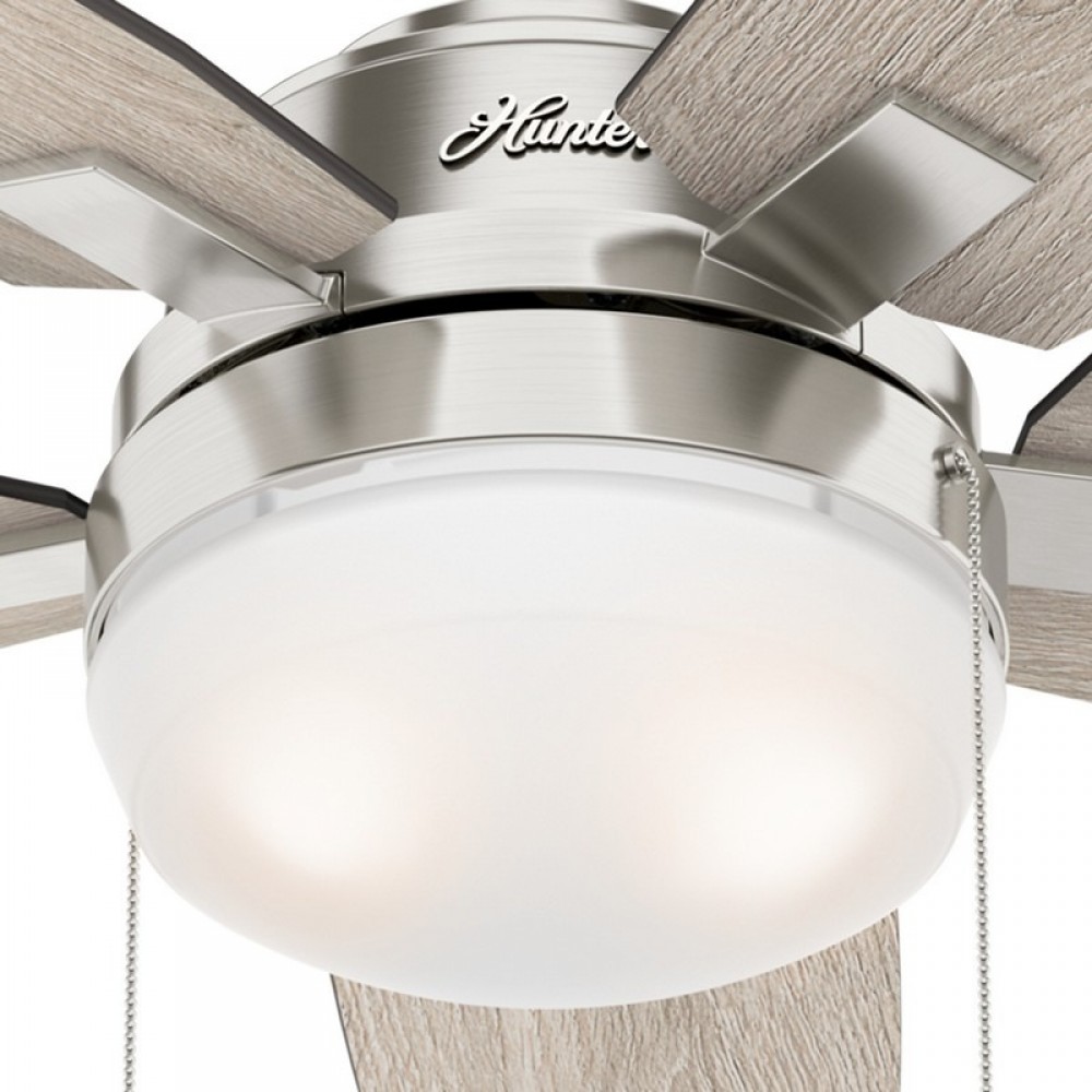 Hunter Arcot Brushed Nickel