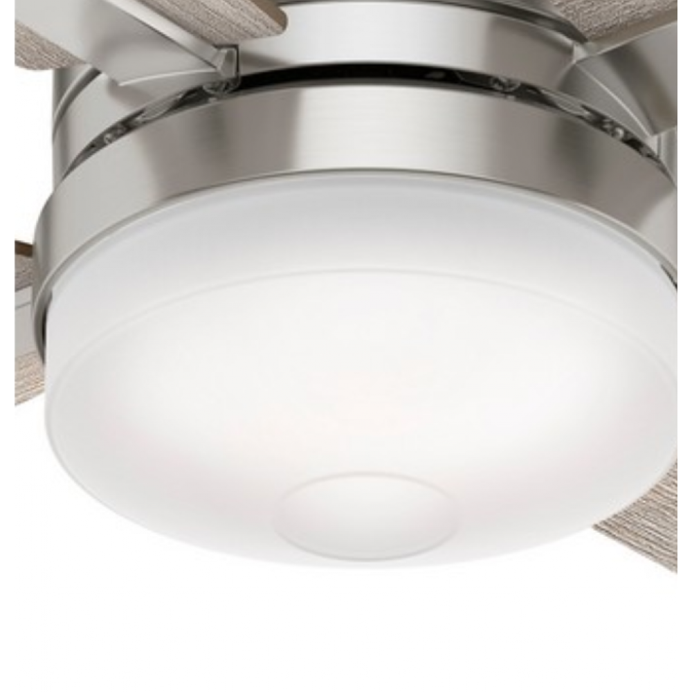 Hunter Mercado Brushed Nickel