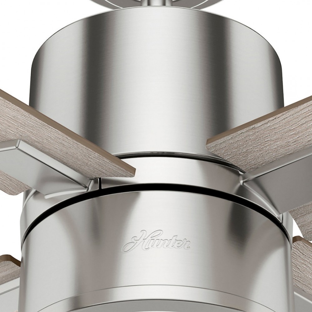 Hunter Beck Brushed Nickel