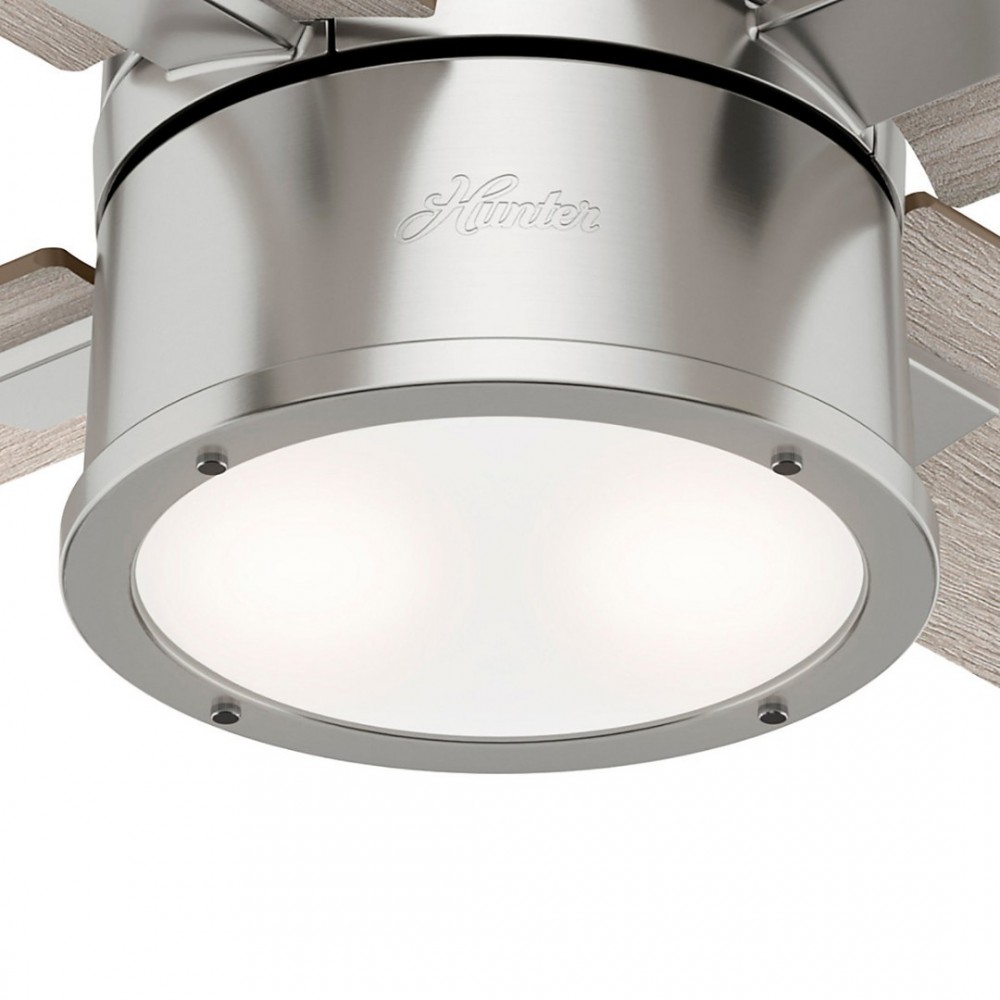 Hunter Beck Brushed Nickel