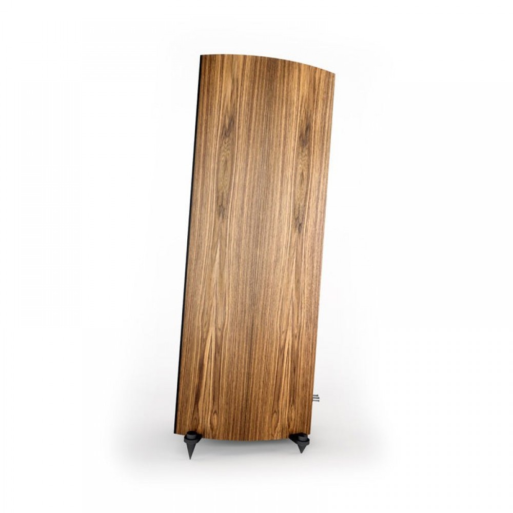 CORINIUM BY ACOUSTIC ENERGY (Tectona)