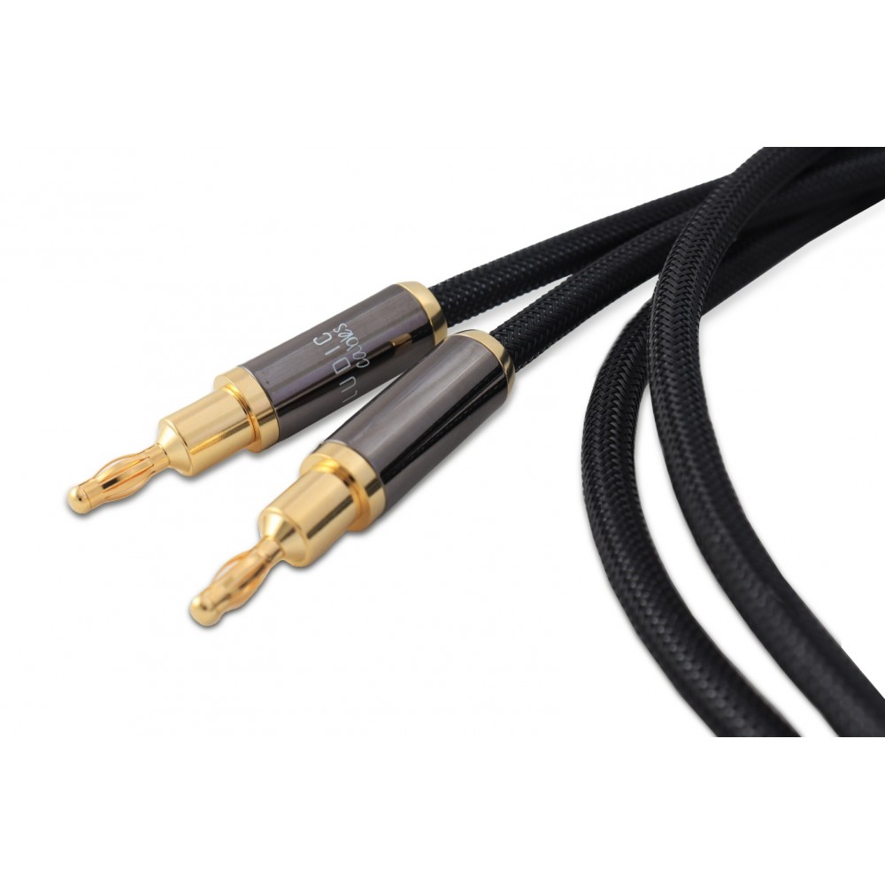 LUDIC Hera loudspeakercable set (2pcs) 2 meter LUDIC Hera loudspeakercable set (2pcs) 2 meter