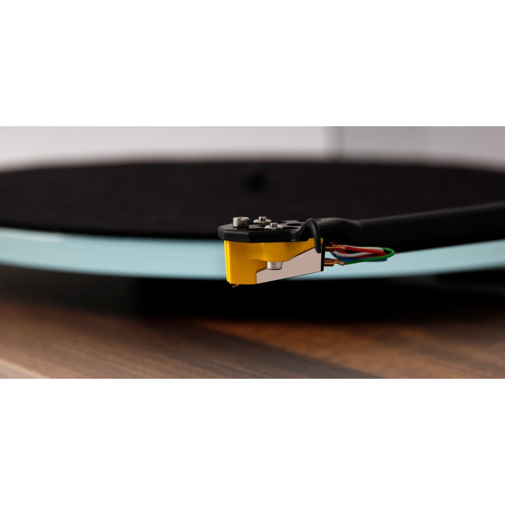 REGA PLANAR 3 50TH ANNIVERSARY EDITION (WALNUT)