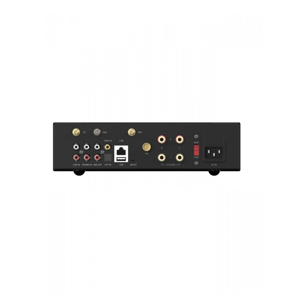 ARYLIC A100 Ραδιοενισχυτής Wi-Fi/Airplay/Bluetooth