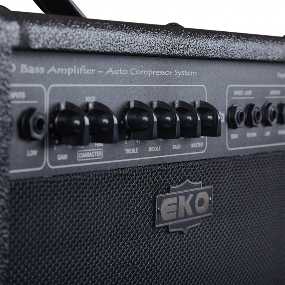 B50 EKO GUITARS