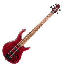 CORT B5 ELEMENT OPBR