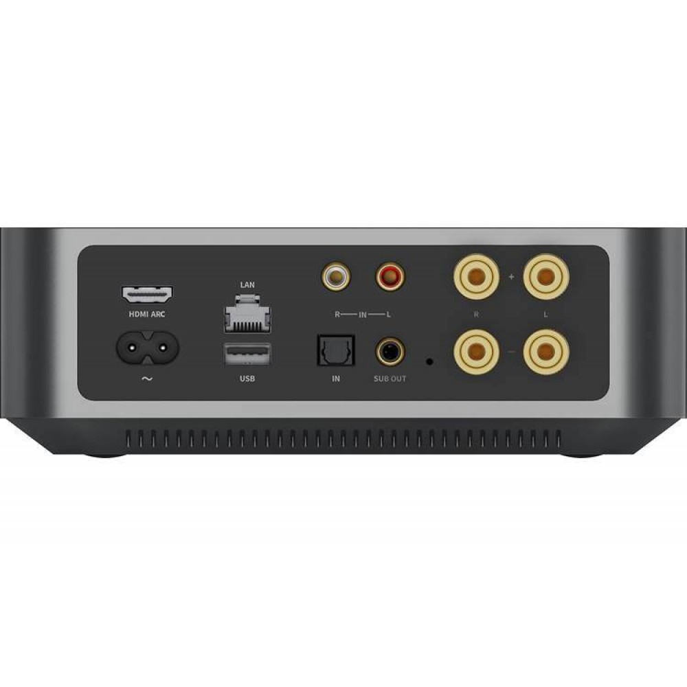 WIIM AMP (DARK GREY)