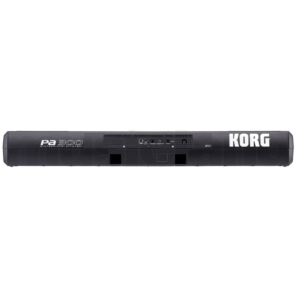 KORG PA300