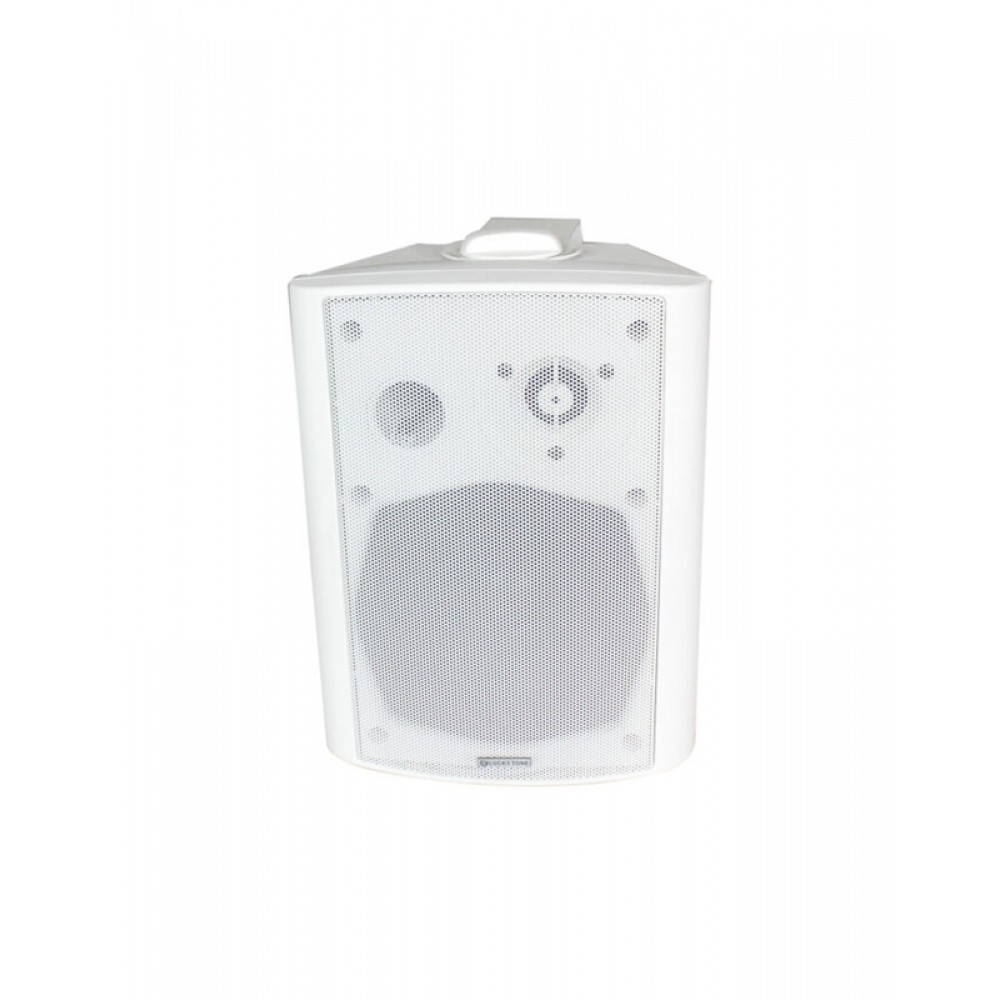 LUCKY TONE WP-420FW  Wall Mount Speaker
