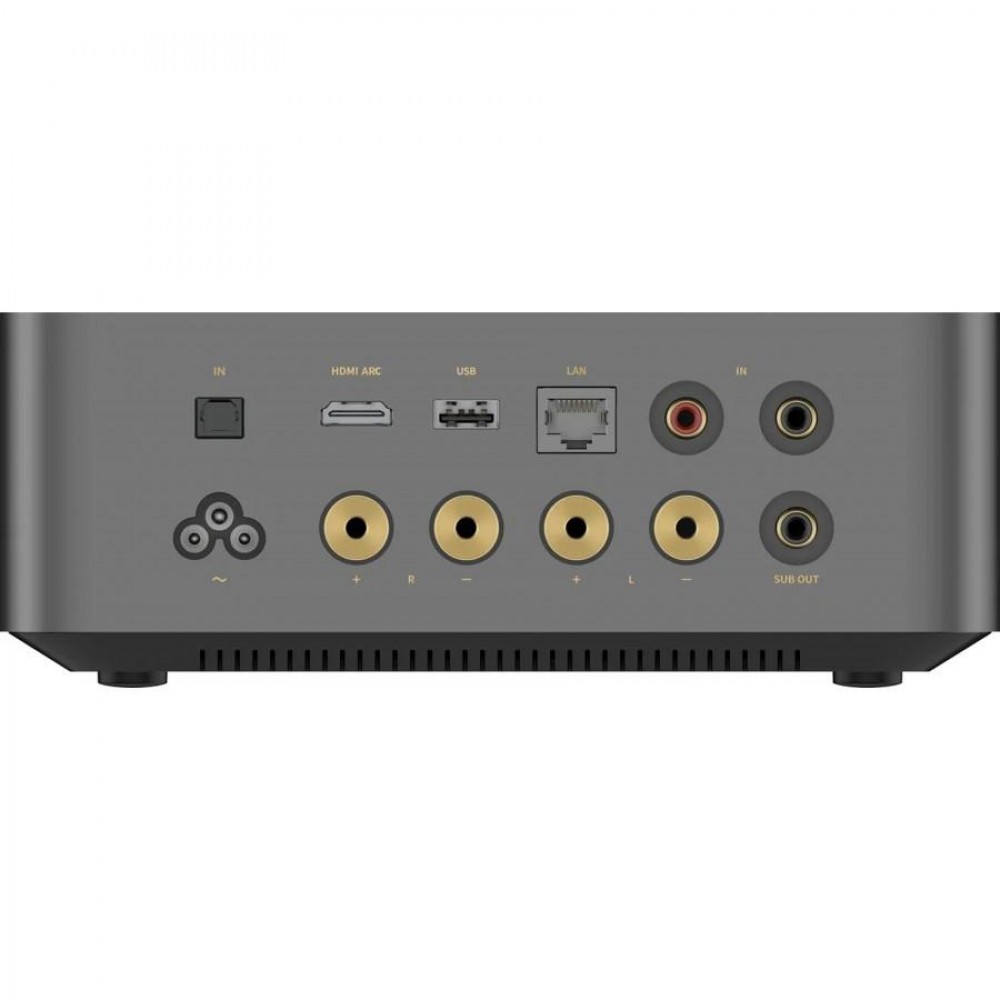 WiiM Amp Ultra (Black)