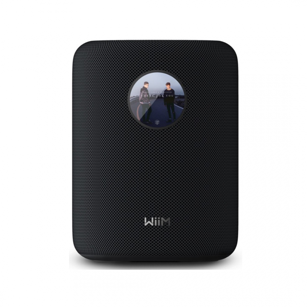 WIIM SOUND BLACK WIIM SOUND BLACK