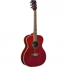 NXT A100STr EKO GUITARS