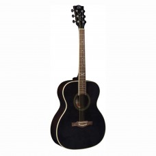 NXT A100STB EKO GUITARS