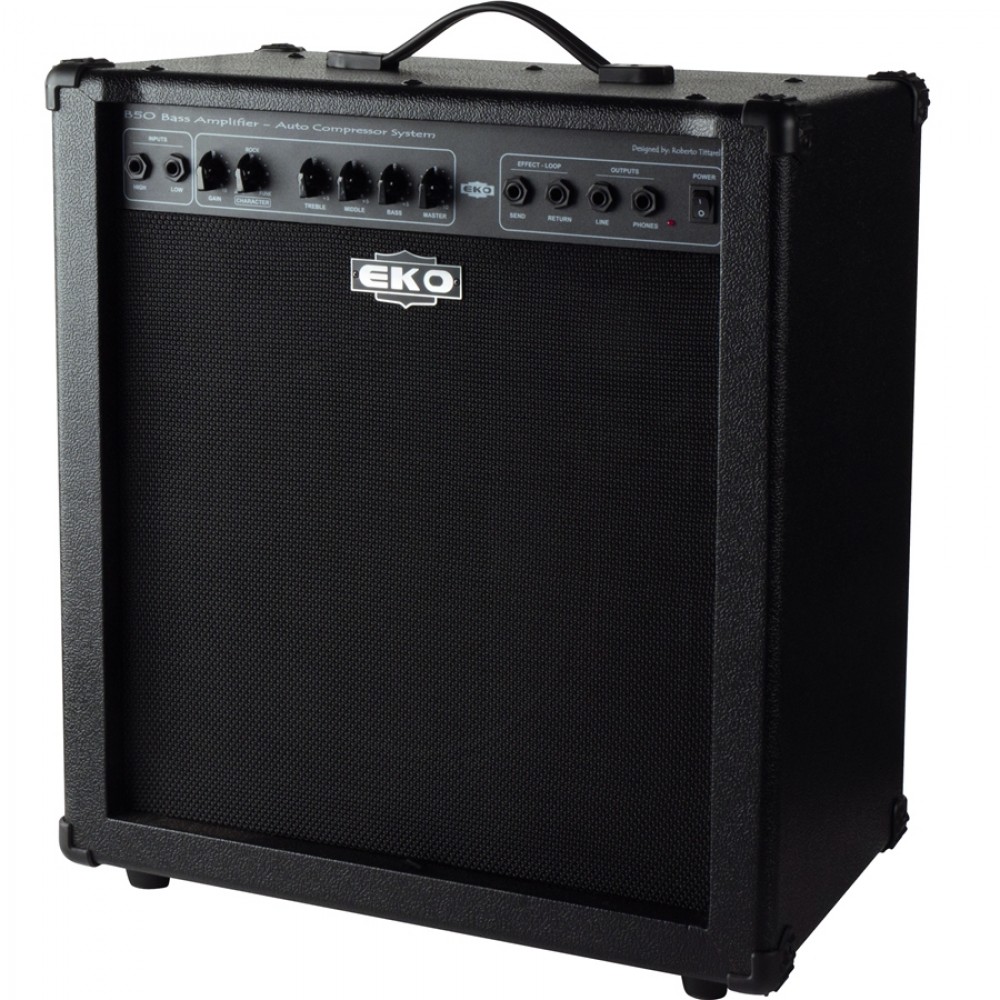 B50 EKO GUITARS