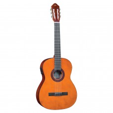 CS12 EQ EKO GUITARS