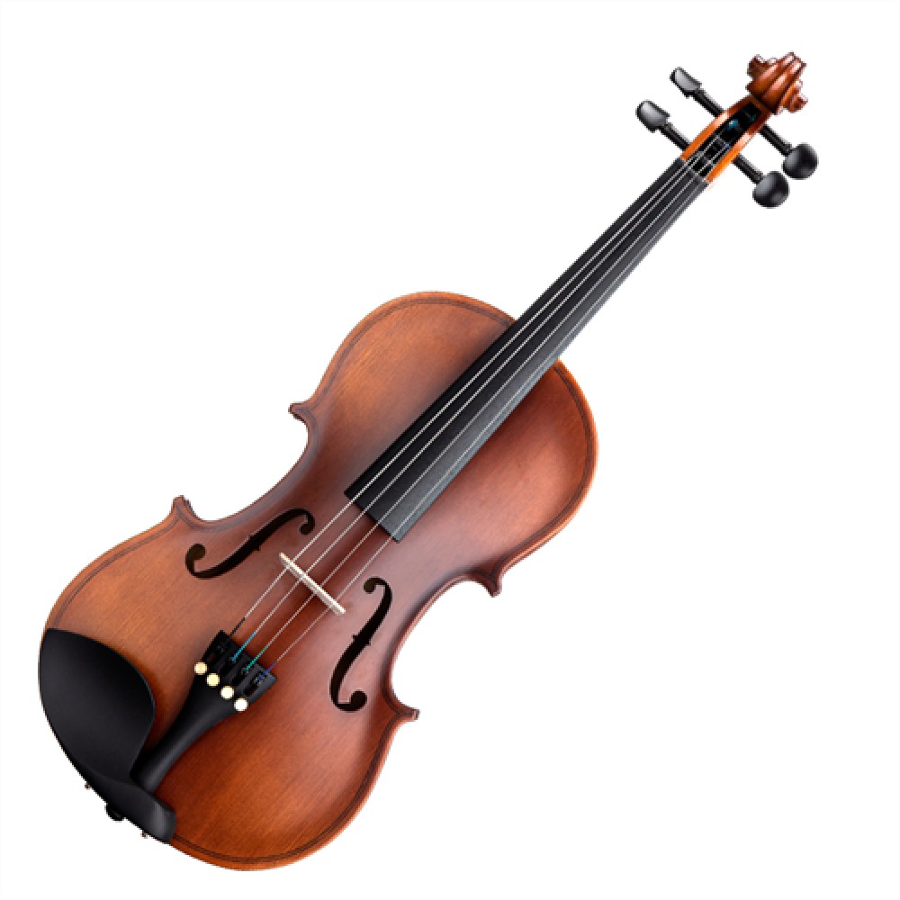 F.ZIEGLER VG002-HPA Βιολί 1/2 Με Θήκη και Δοξάρι F.ZIEGLER VG002-HPA Βιολί 1/2 Με Θήκη και Δοξάρι