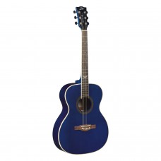 NXT A100STb EKO GUITARS