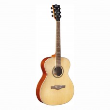 NXT A100 NATURAL EKO GUITARS